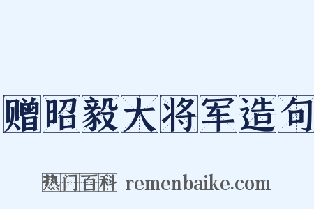 赠昭毅大将军造句是什么意思的图片